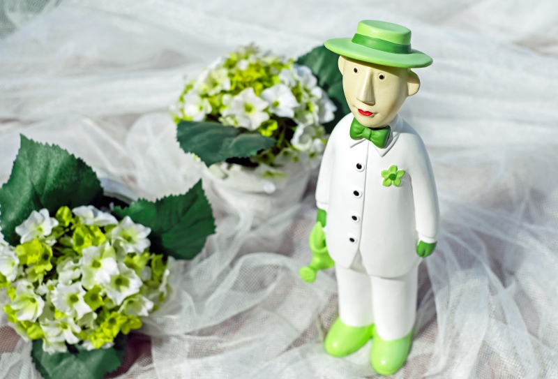 vitrine-BRAS-min_man-person-flower-green-toy-fig-546529-pxhere.com